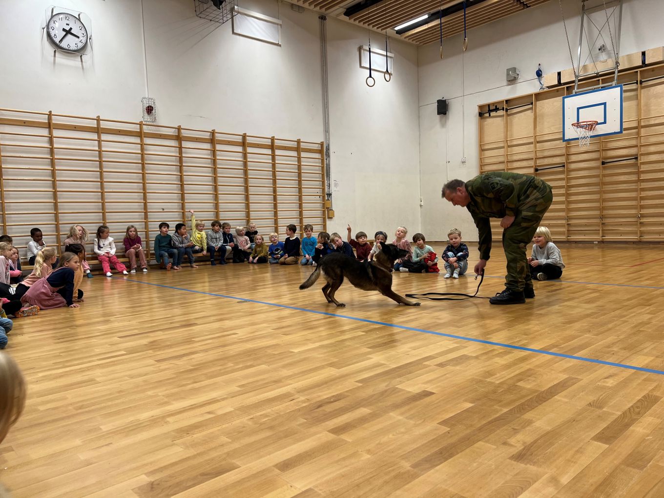 Forsvarets hundeskole