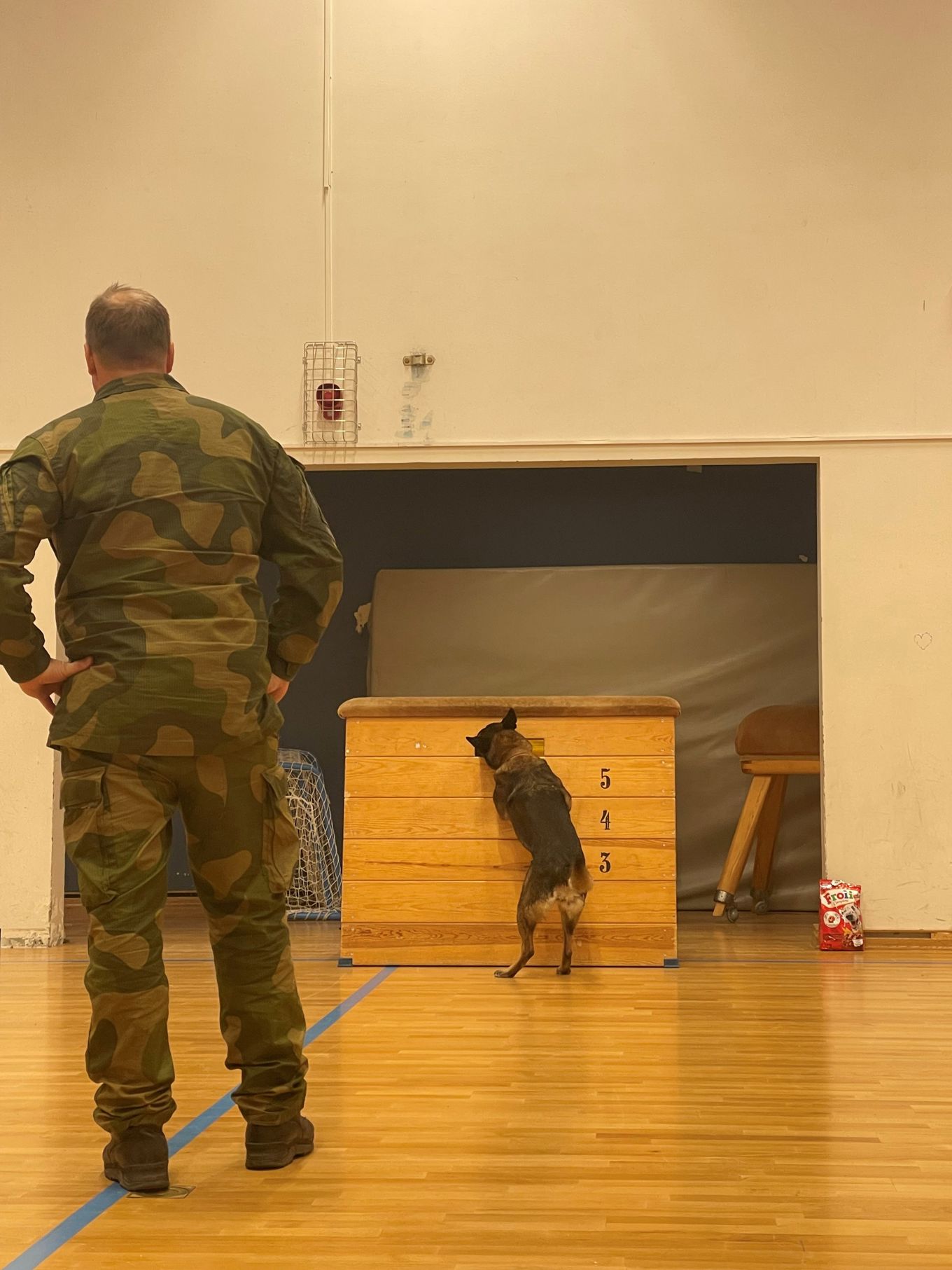 Forsvarets hundeskole